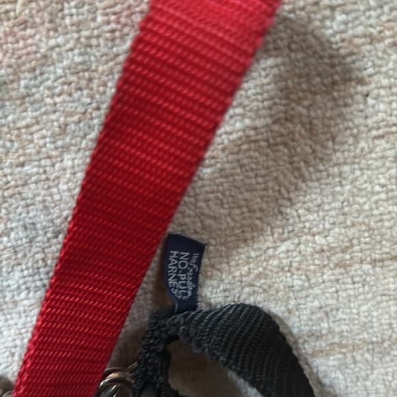 Freedom No Pull dog harness - Picture 5 of 8